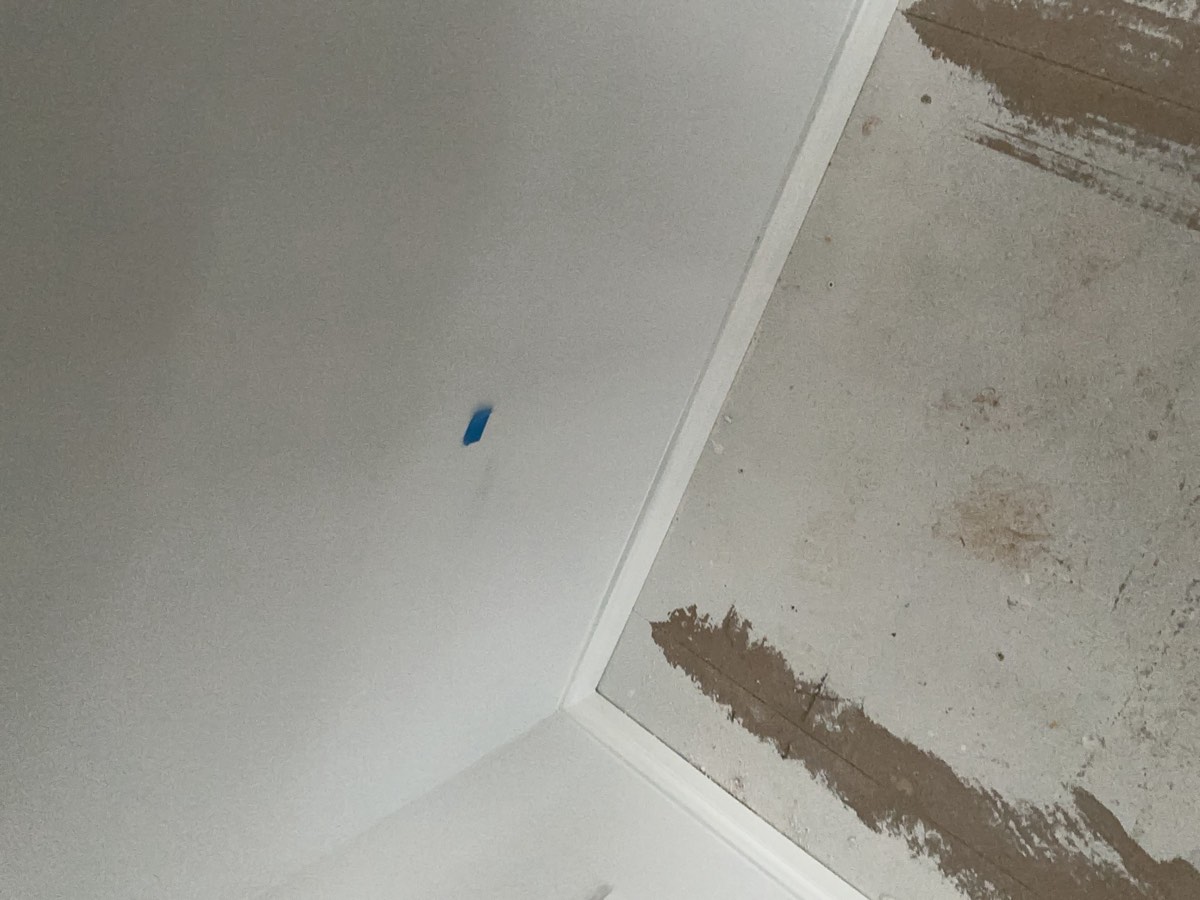 Common areas painting, recorded at a handover inspection in Oran Park