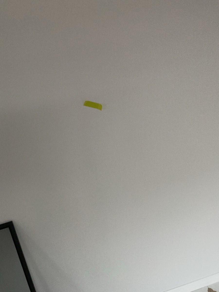 Ground floor painting, Oran Park, Catherine Field